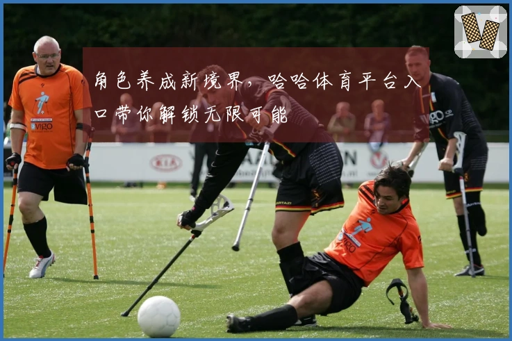 角色养成新境界，哈哈体育平台入口带你解锁无限可能