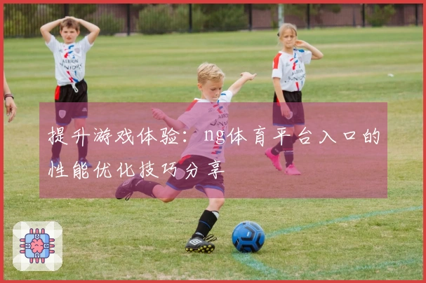 提升游戏体验：ng体育平台入口的性能优化技巧分享