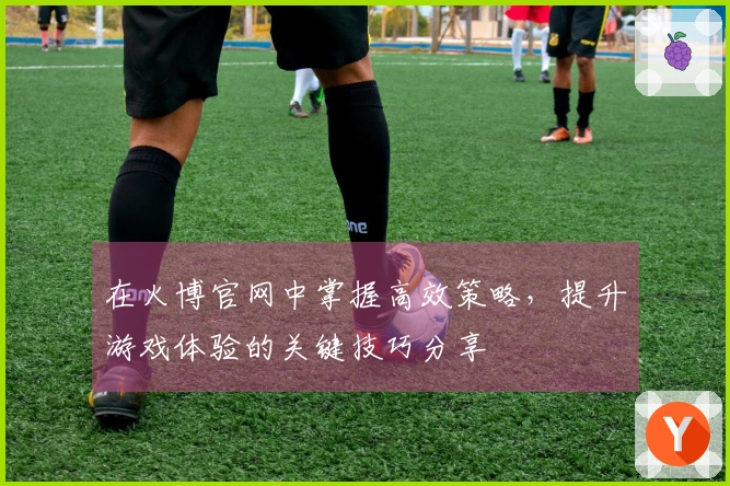 在火博官网中掌握高效策略，提升游戏体验的关键技巧分享