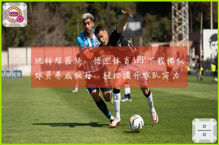玩转绿茵场，悟空体育APP下载揭秘球员养成秘籍，轻松提升球队实力