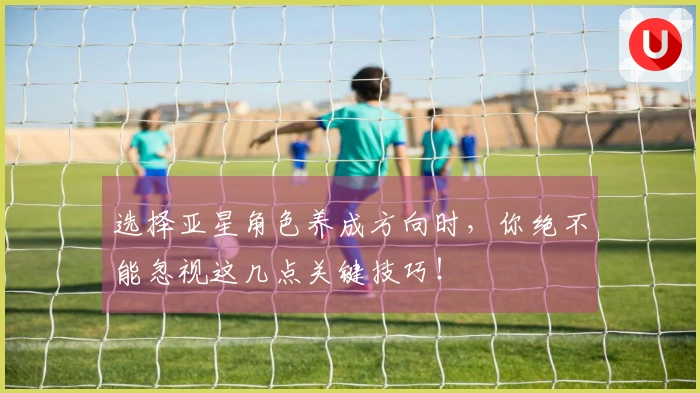 选择亚星角色养成方向时，你绝不能忽视这几点关键技巧！