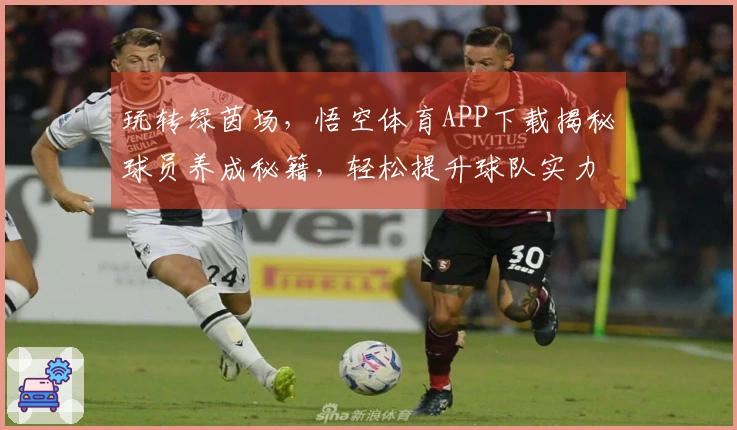 玩转绿茵场，悟空体育APP下载揭秘球员养成秘籍，轻松提升球队实力