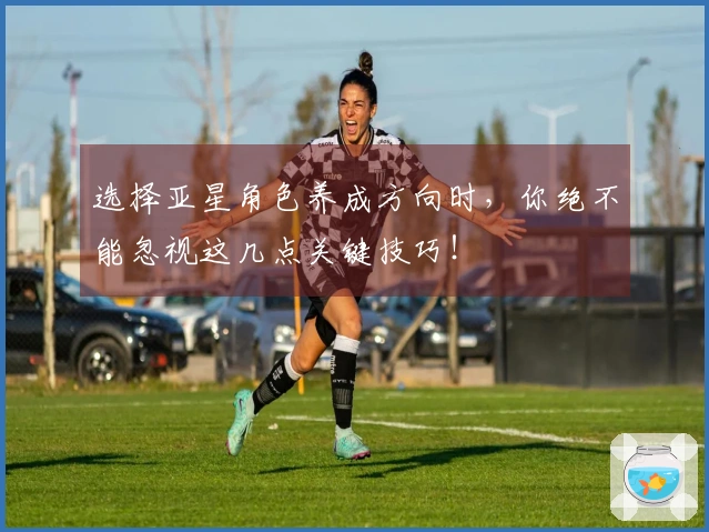 选择亚星角色养成方向时，你绝不能忽视这几点关键技巧！
